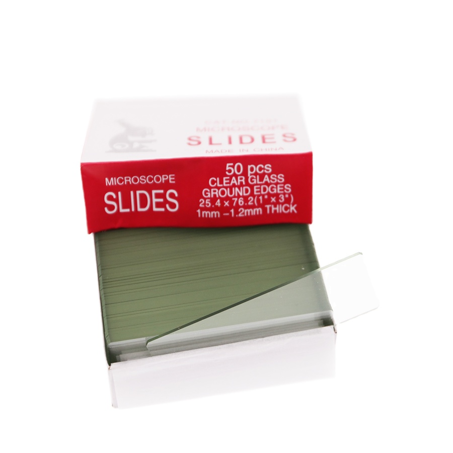 Glass Slides