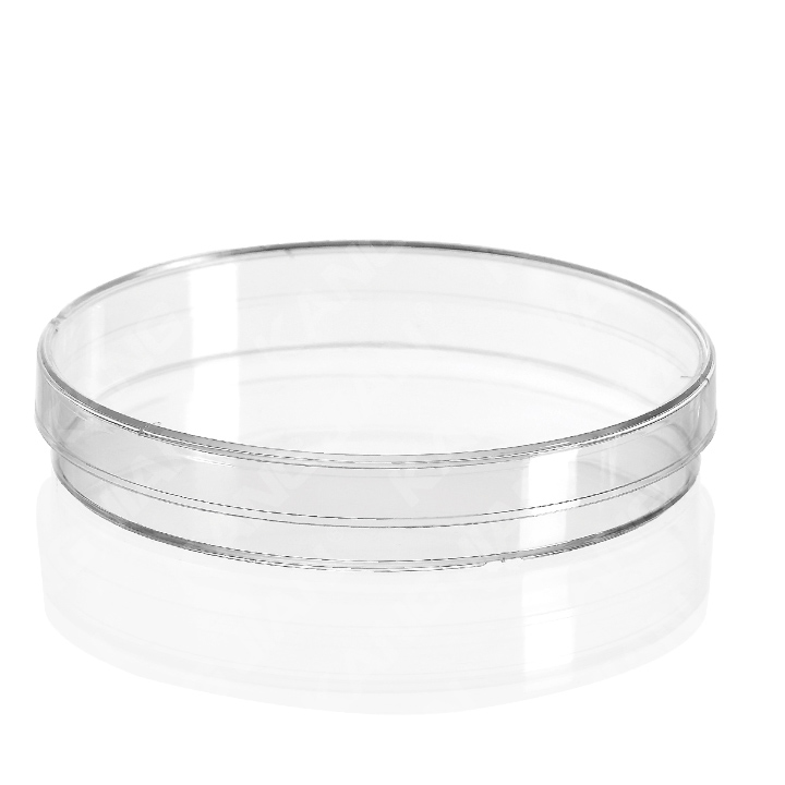 Petri Dish