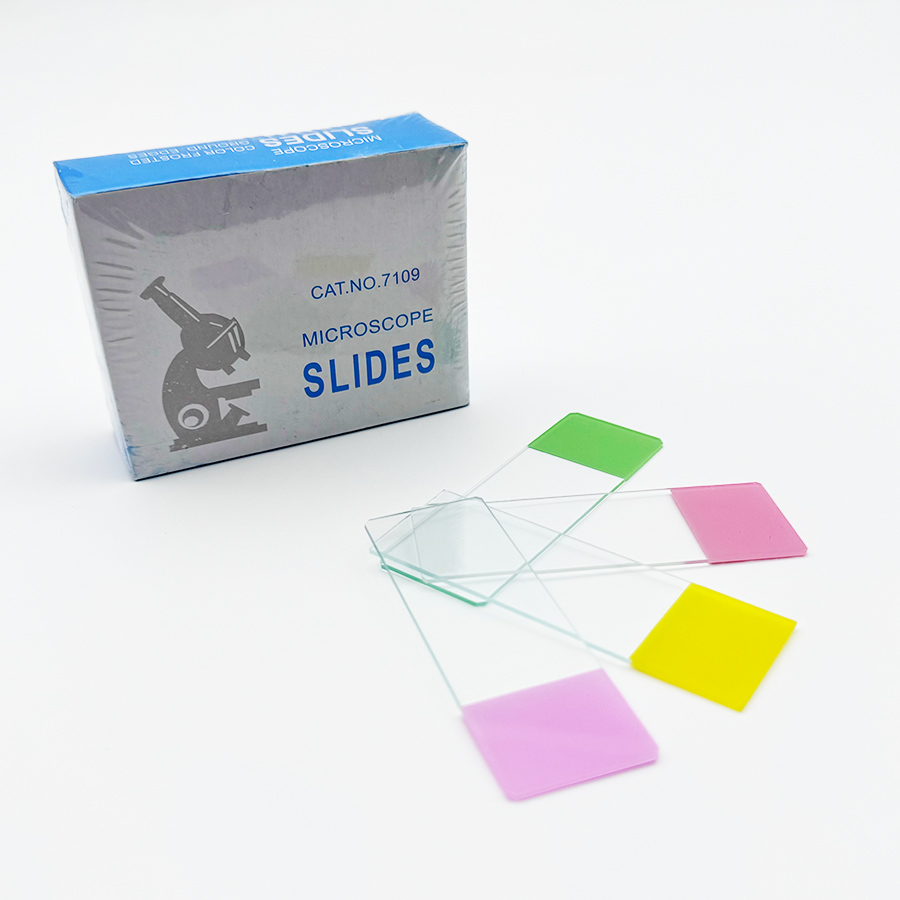 Glass Slides